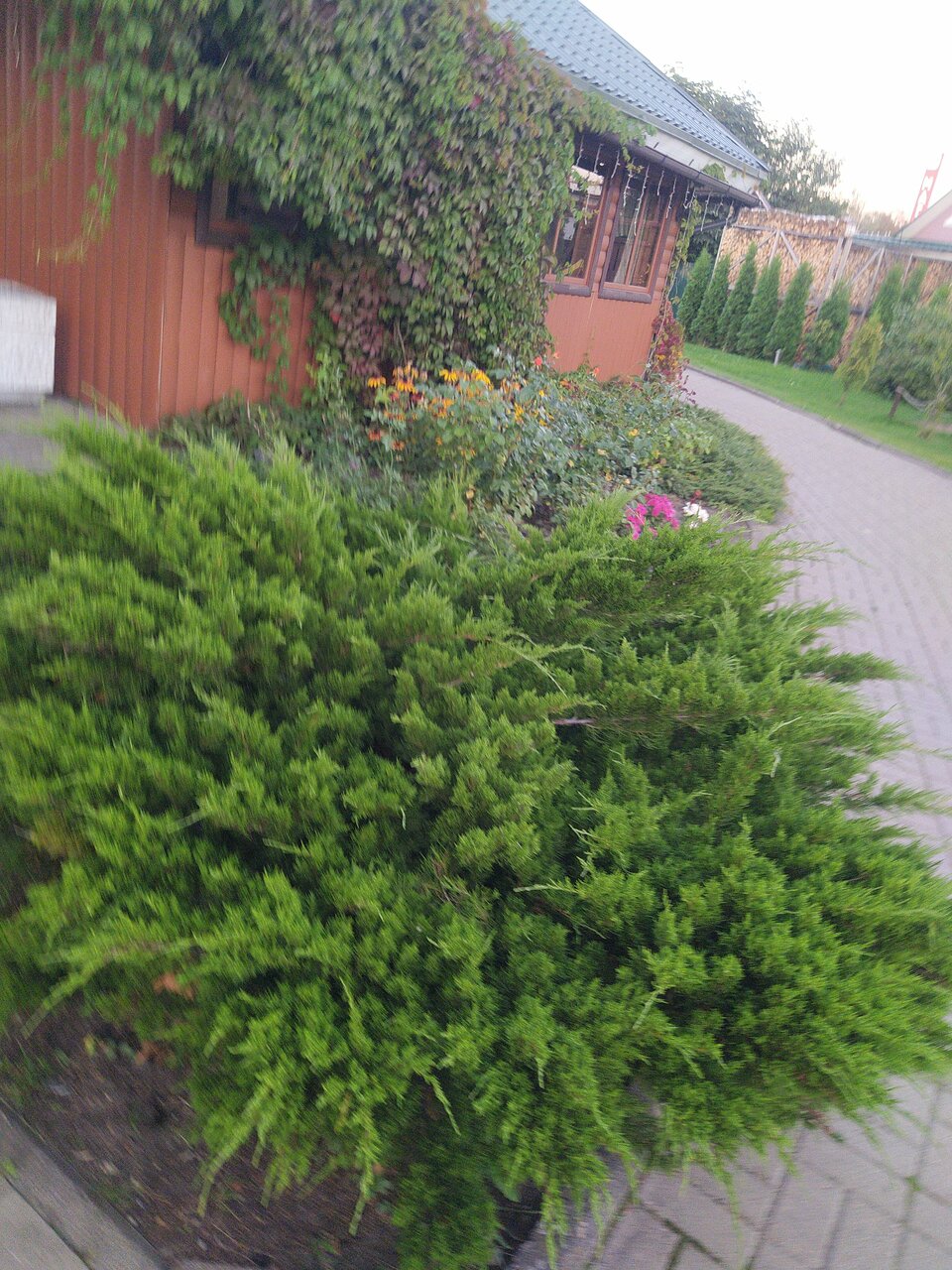 Гостиница Постоялый двор Ям Тосно-245