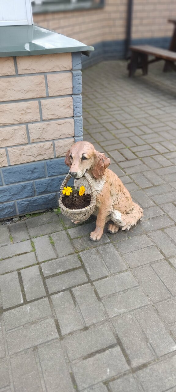 Гостиница Постоялый двор Ям Тосно-175