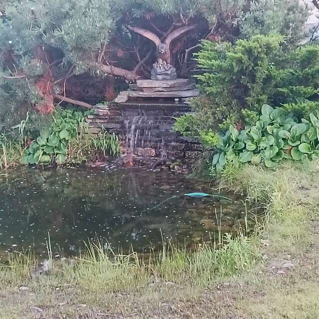 Гостиница Постоялый двор Ям Тосно-181