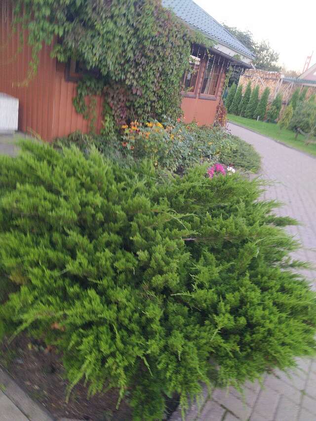 Гостиница Постоялый двор Ям Тосно-244