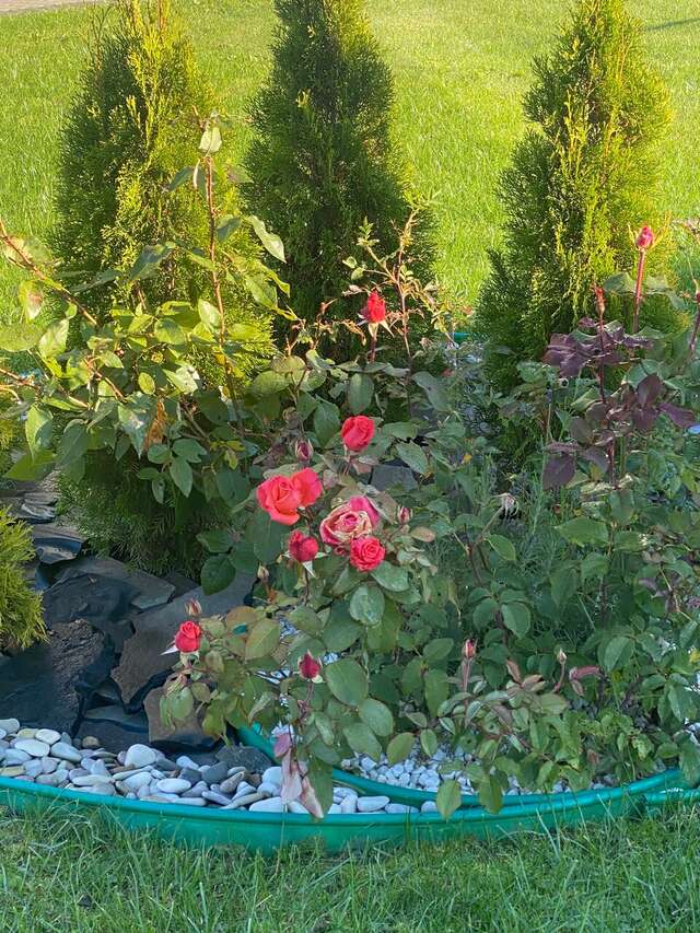 Гостиница Постоялый двор Ям Тосно-176