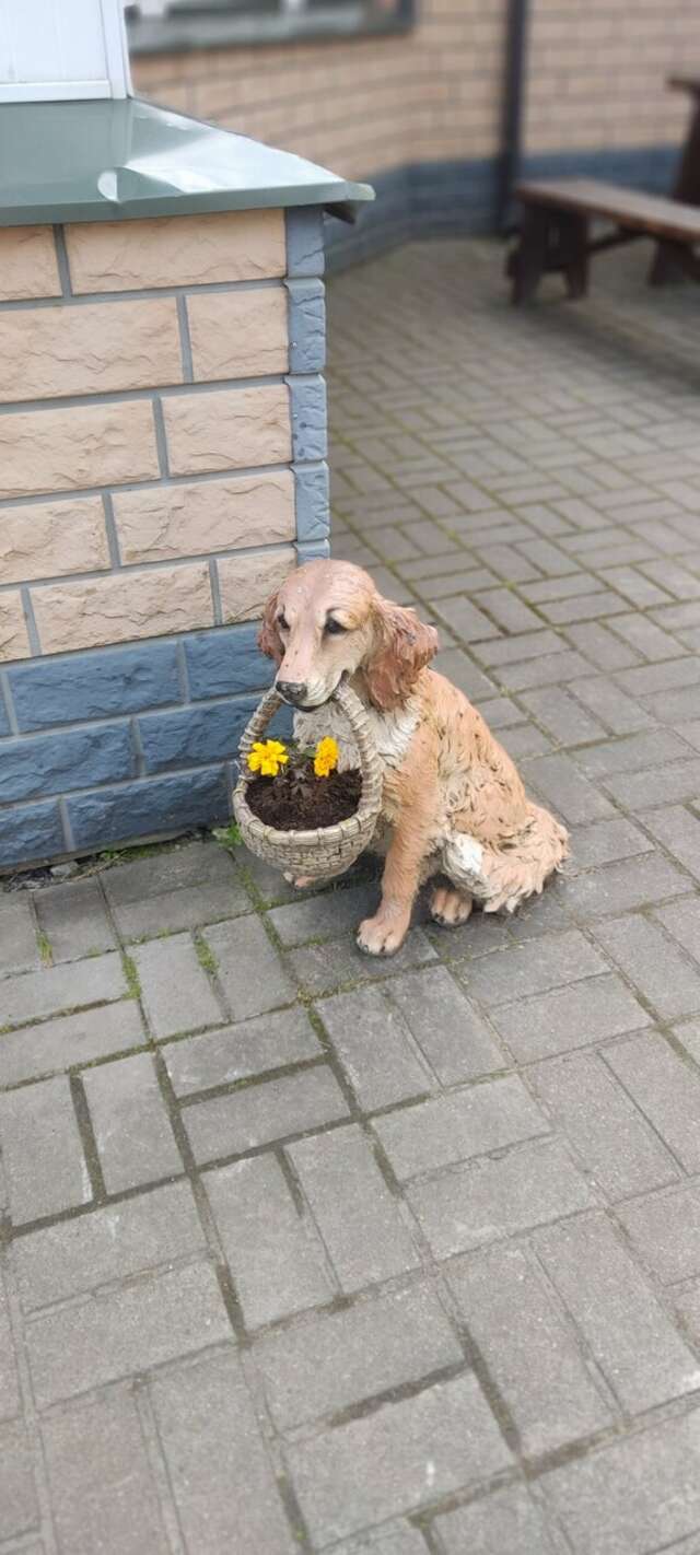 Гостиница Постоялый двор Ям Тосно-174